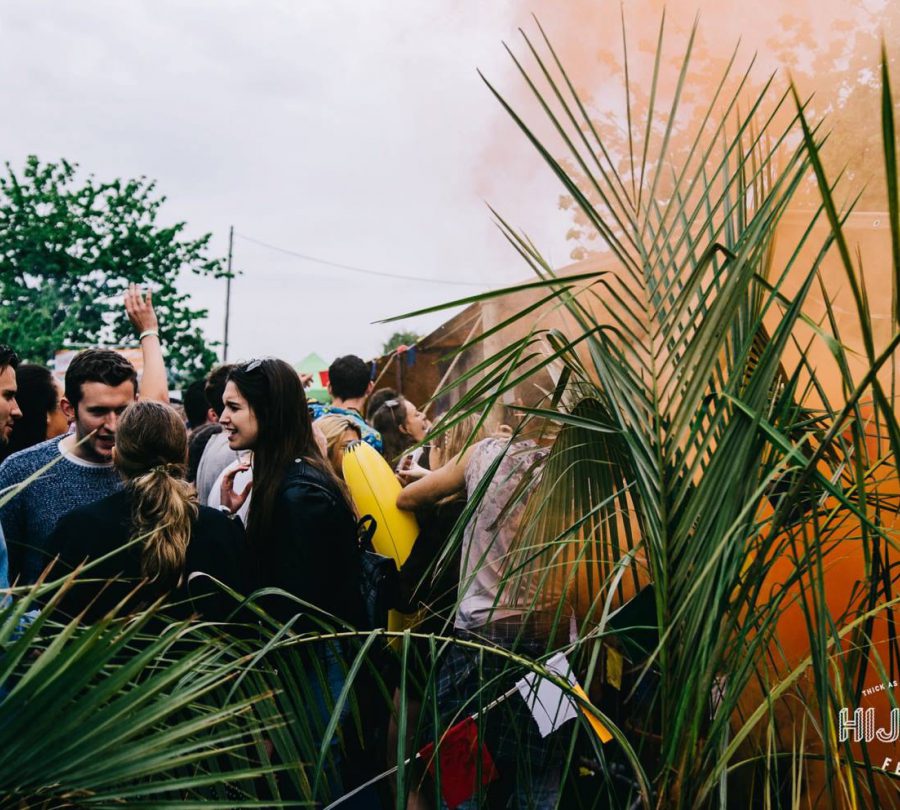 crowd surrounded by plants
